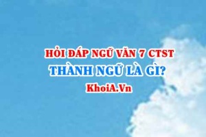 Thành ngữ là gì? Đặc điểm chức năng của thành ngữ, tục ngữ? Ví dụ? Ngữ Văn lớp 7 CTST